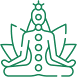 Guided icon